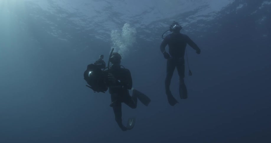 To scuba divers swimming and one has a camera with him