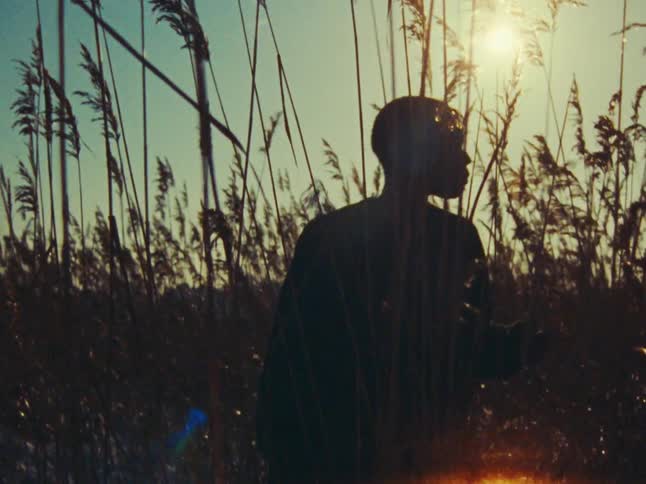 A woman is silhouetted against the sun in a field of tall grass