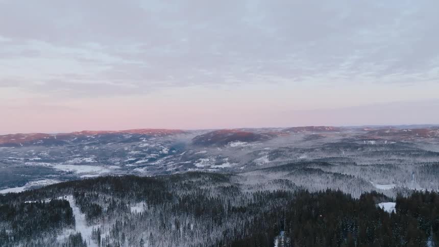 Aerial view of a snowcovered mountain landscape with coniferous forests and a softly hued sky at dawn