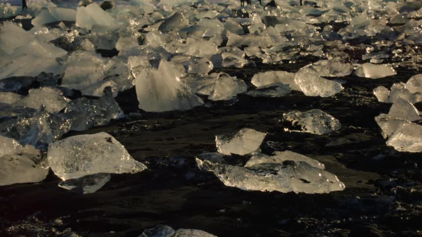 Chunks of glistening ice scatter across the dark sands of a beach