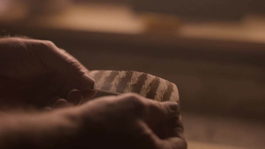 A person runs his finger along a feather