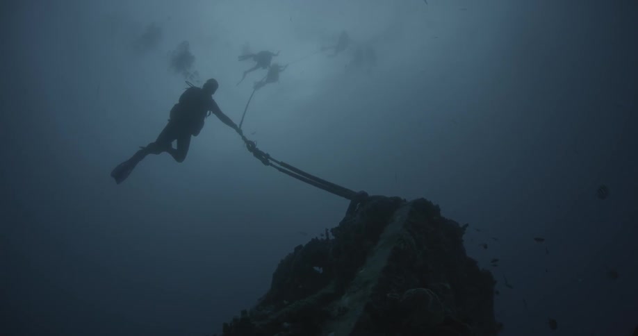 A group of divers are descending towards an old shipwreck