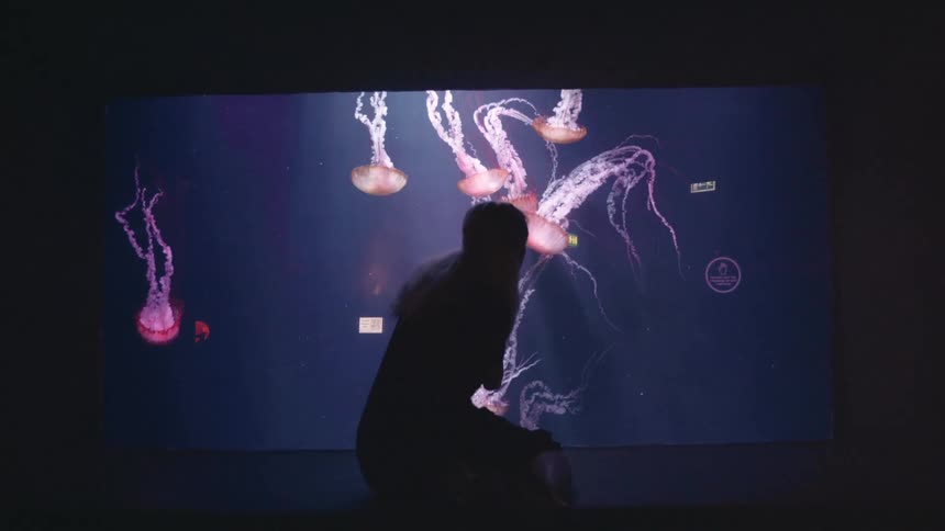 Silhouette of a woman interacting with a screen displaying jellyfish