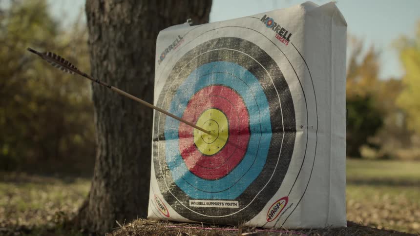 Arrow hits the bullseye on a target sitting on the ground near the base of a tree on an autumn day