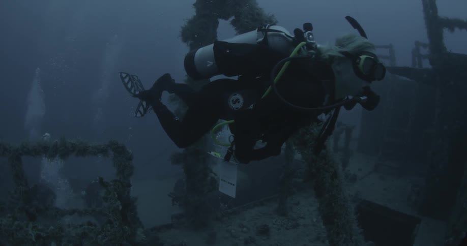 Divers swim near ship wreckage in the ocean