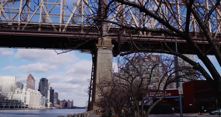 Framed by bare branches in the foreground the queensboro bridge stretches across the east river with the new york city skyline visible beneath its raised tracks and cloudy skies above as captured from roosevelt island