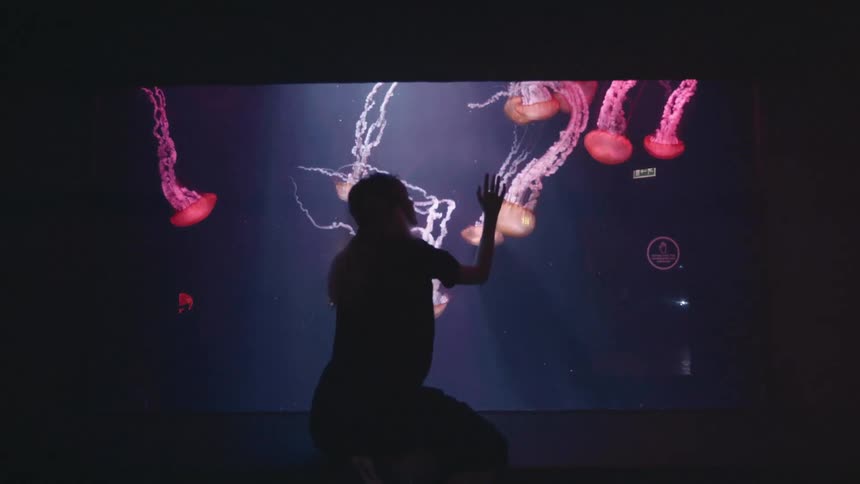 A footage of a person sitting beside an aquarium