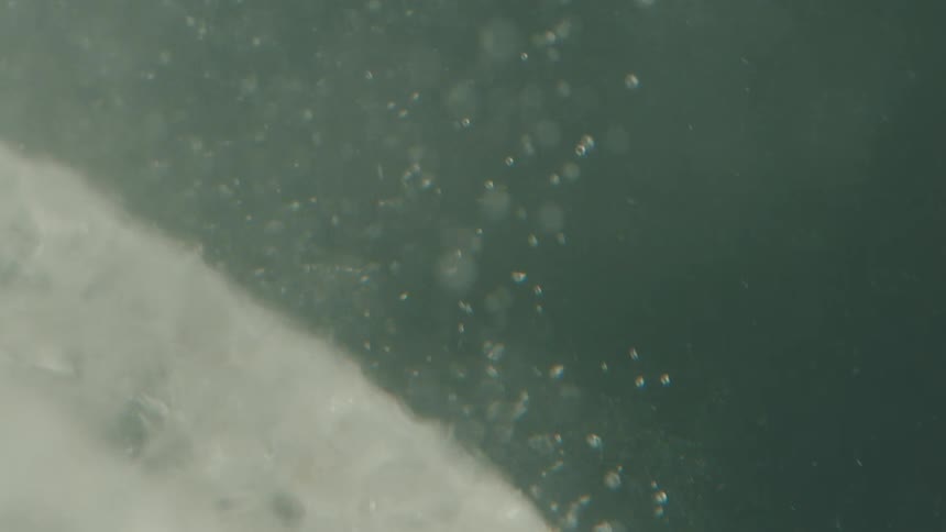 Bubbles rise from a pale surface through a murky liquid
