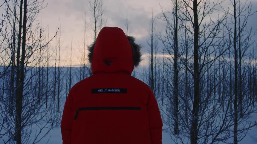 Person from behind in a red jacket in a snowy forest