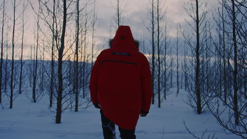 Person with back turned and wearing a red jacket walking in a leafless and snowy forest