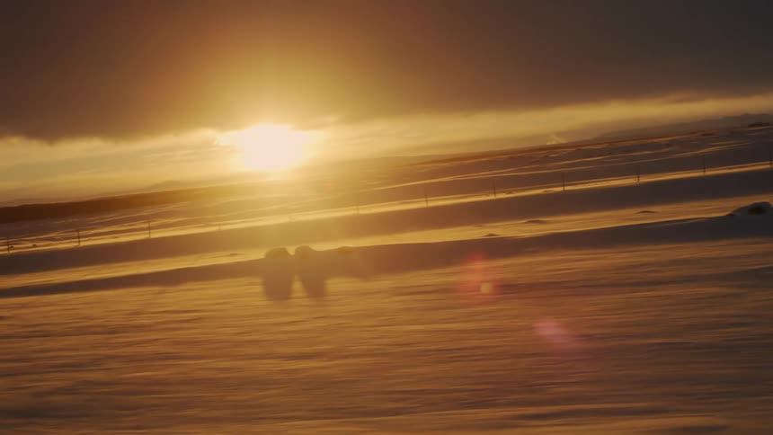Snowy landscape with golden sunrise on the horizon