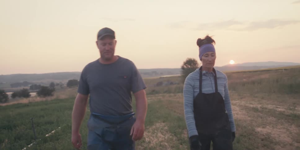 A couple people walk through a field