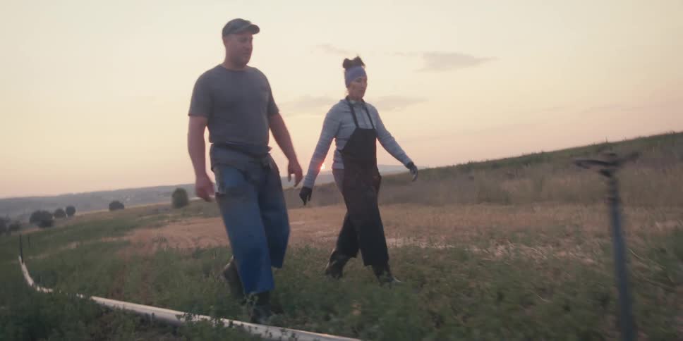 A couple people walk in a field