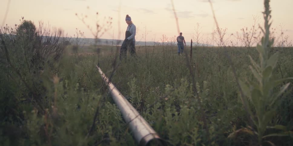 A couple people walk through a field