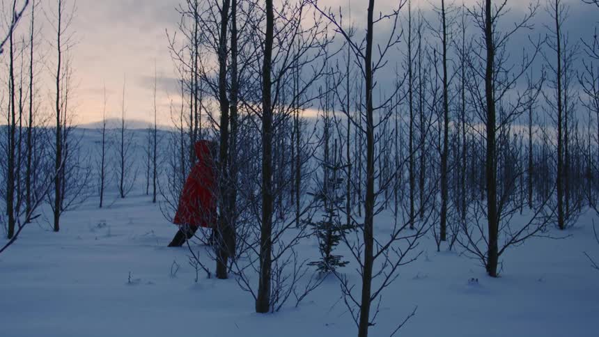 Person in red jacket walking through leafless snowy forest
