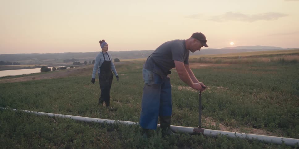 Man and woman walking in an agricultural field and activating the irrigation system