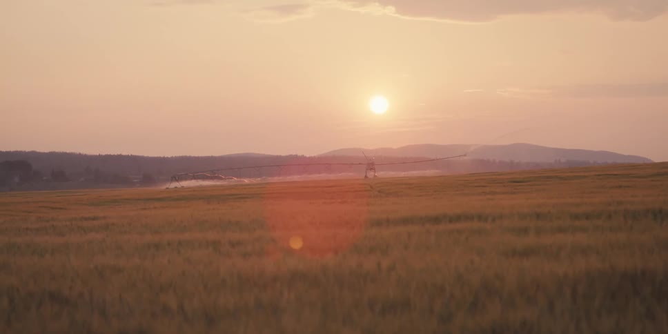 A golden sunset illuminates a vast field with the sun low on the horizon