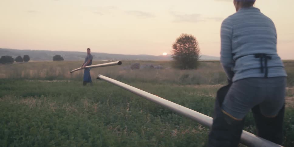 Man and a woman carrying long metal irrigation system pipes through a field