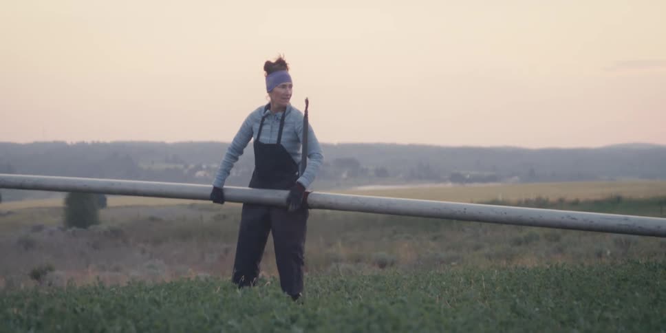 Woman and a man in an agricultural field holding irrigation pipes