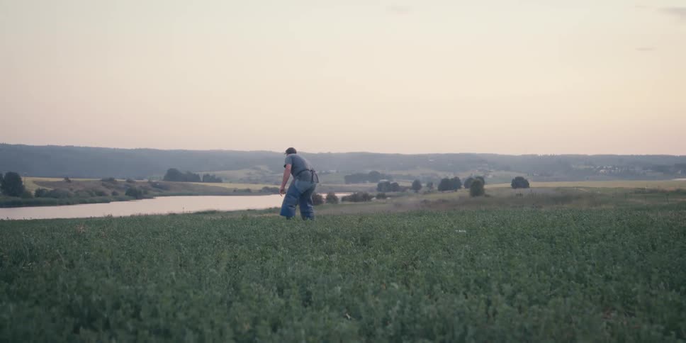 Man positioning long tubes in an agricultural field