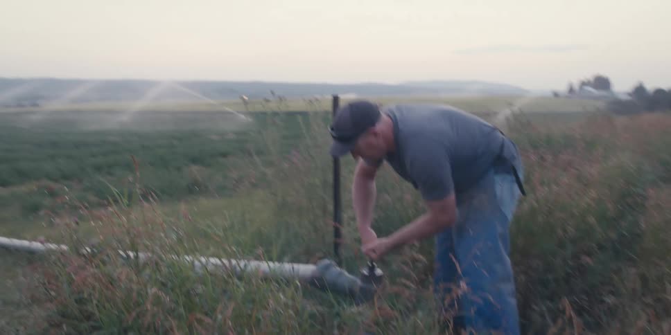 A farmer in a rural field turns off an irrigation valve at dusk surrounded by tall grass rolling hills and distant sprinklers spraying water across the crops