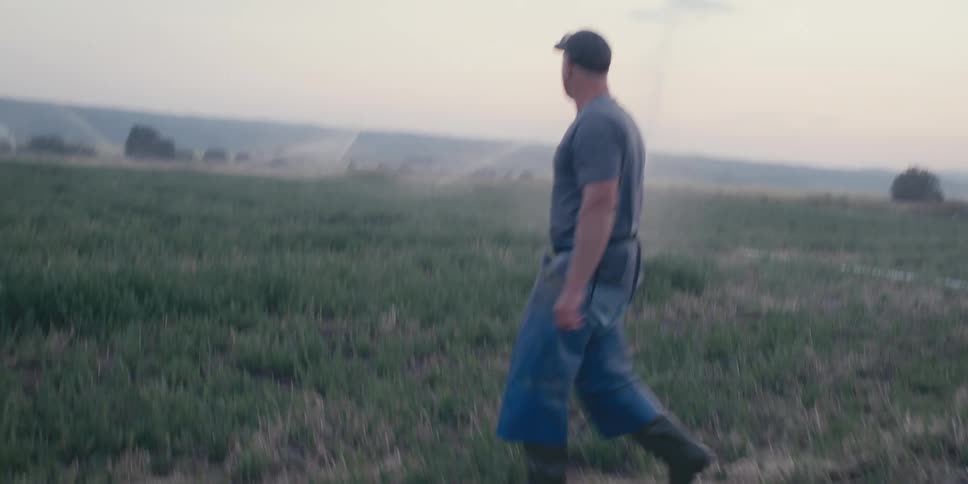 Doll man meowing through a rural area with active irrigation system in the background
