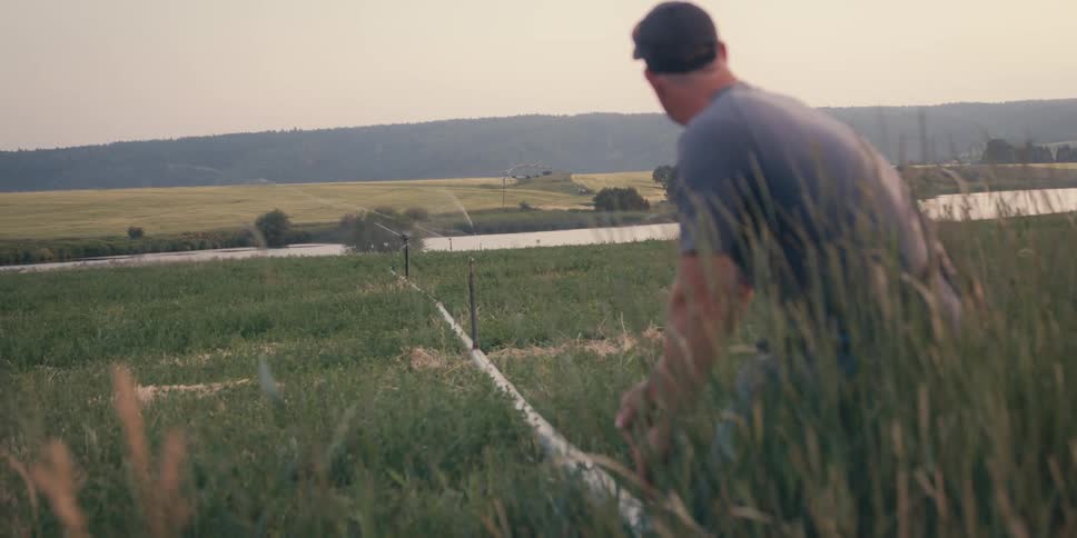 Man standing next to an irrigation pipe in an agricultural field