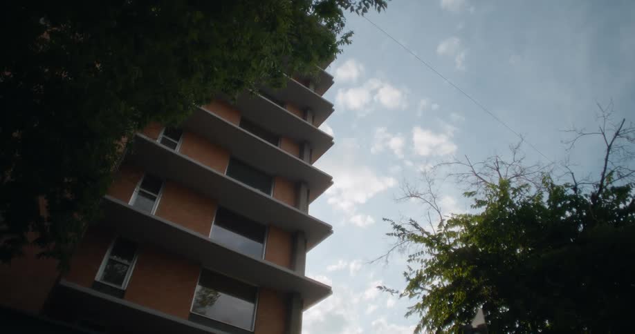 Upward view of an urban building and trees in the foreground