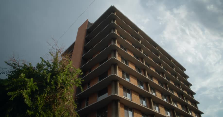 Upward view of an urban apartment with a tree in the foreground