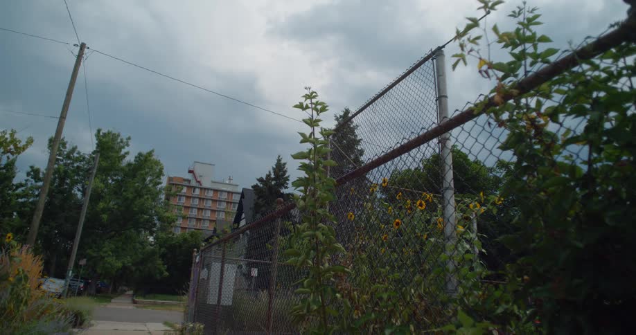 Sidewalk with metal fences and flowers and urban buildings in the background