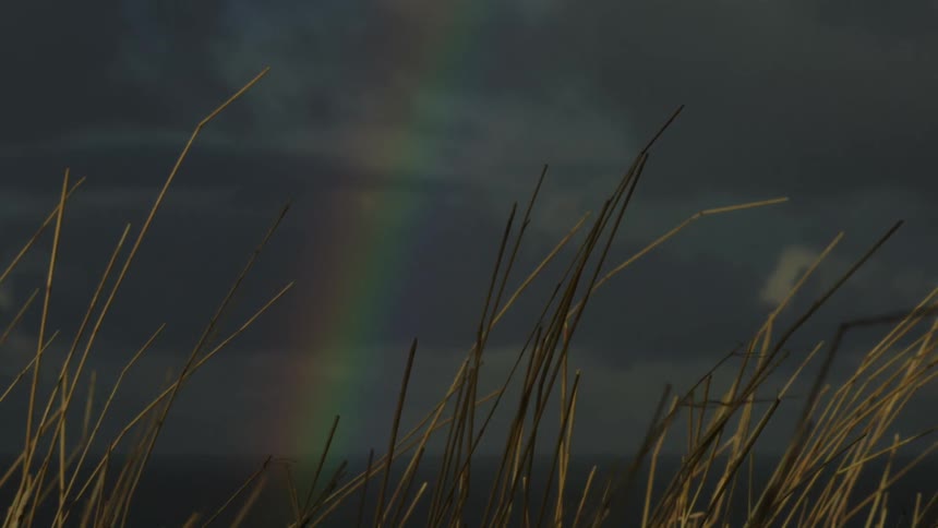 A rainbow arcs across a dark cloudy sky as the wind sways dry grass stems in the foreground with the camera slowly panning left over a serene coastal landscape