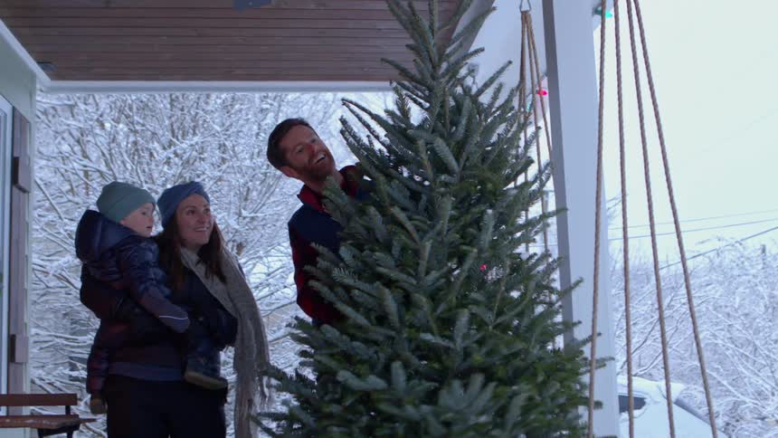 During a snowy winter day a father shows his wife and son a christmas tree