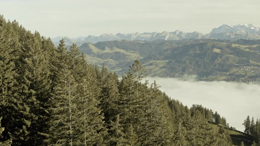 Aerial panorama of mountains covered with dense forest and low clouds