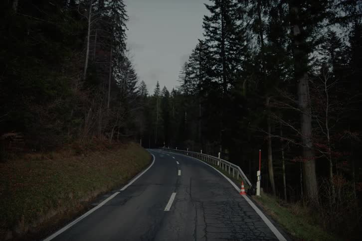 Asphalt road surrounded by forest