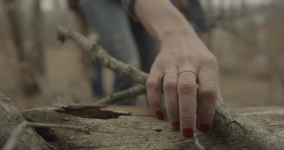 A woman picks up a branch from the ground in a forested area