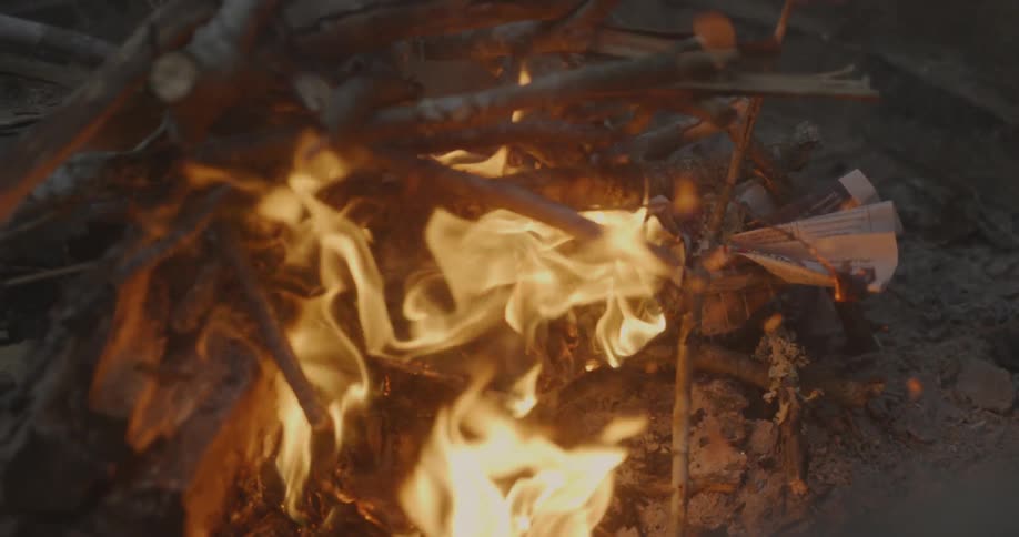 The branches and leaves burn in the campfire