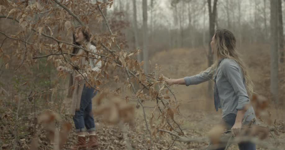 Women gather branches while walking in a forested area