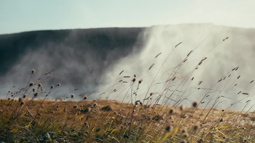 Tall thin blades of grass sway in the foreground with a hazy steamfilled landscape and a dark rolling hill in the background