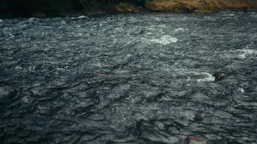 The stream water is rough and splashing off the rocks