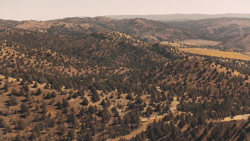 Aerial panorama of a mountain valley with dense vegetation