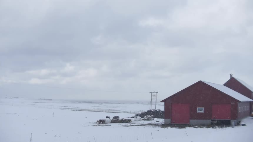 Red house in a rural area on a snowy day with some animals in the background