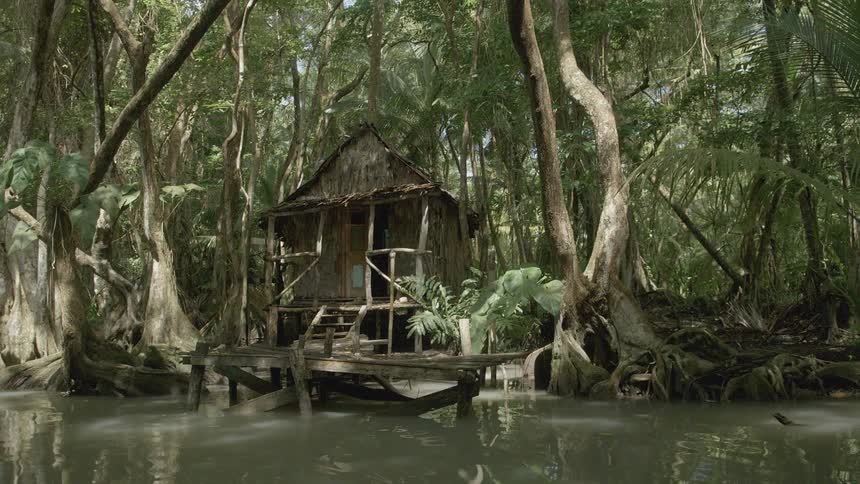 A small hut sits on the side of this swamp