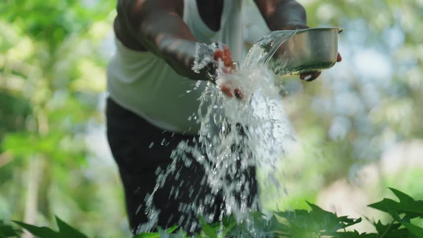 A person is pouring water from a metal bowl onto plants in a garden with the water cascading down in a stream