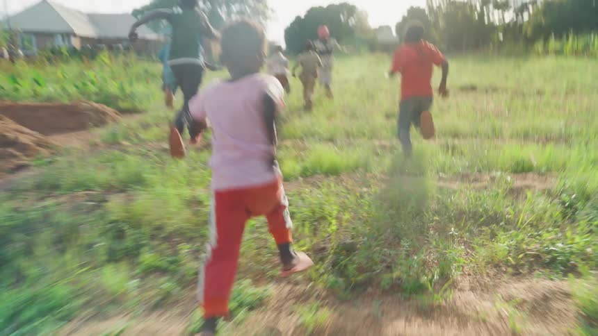 A group of children run through a grassy field towards a distant house and trees with the sun shining brightly in the background