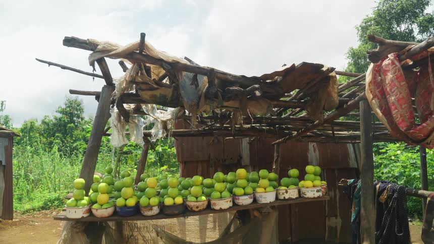 Simple wooden stall with bowls of fresh oranges sold in a location surrounded by nature