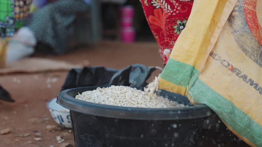 A yellow and green bag is pouring grains into a black plastic container on a dirt surface