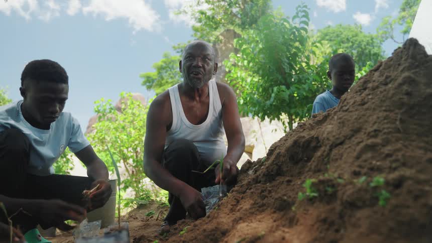 Adult man with children and teenagers around him preparing seedlings of agricultural plants