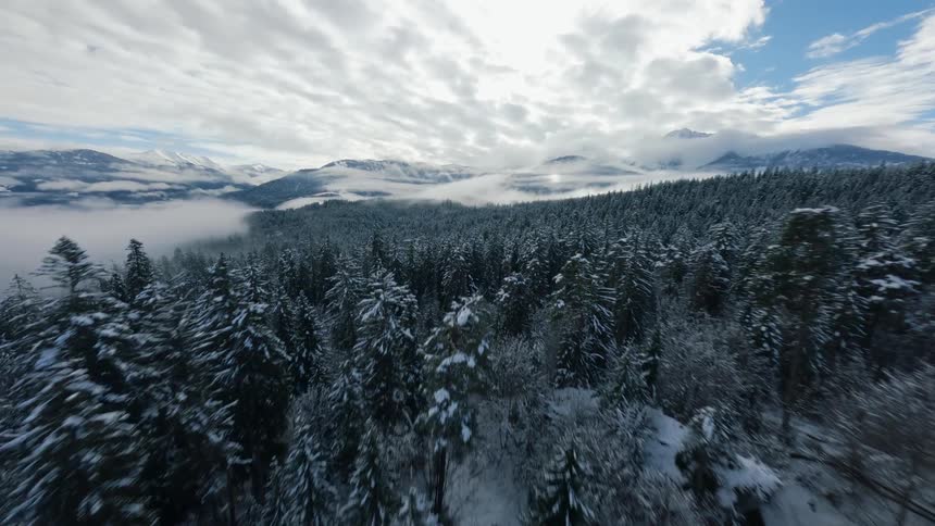 Aerial landscape of a snowy coniferous forest