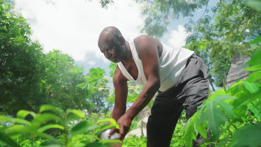 Man with a bowl in the middle of nature