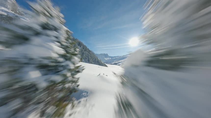 Aerial Flight Through Snow-Covered Trees Into an Open Valley on a Sunny Winter Day in Switzerland